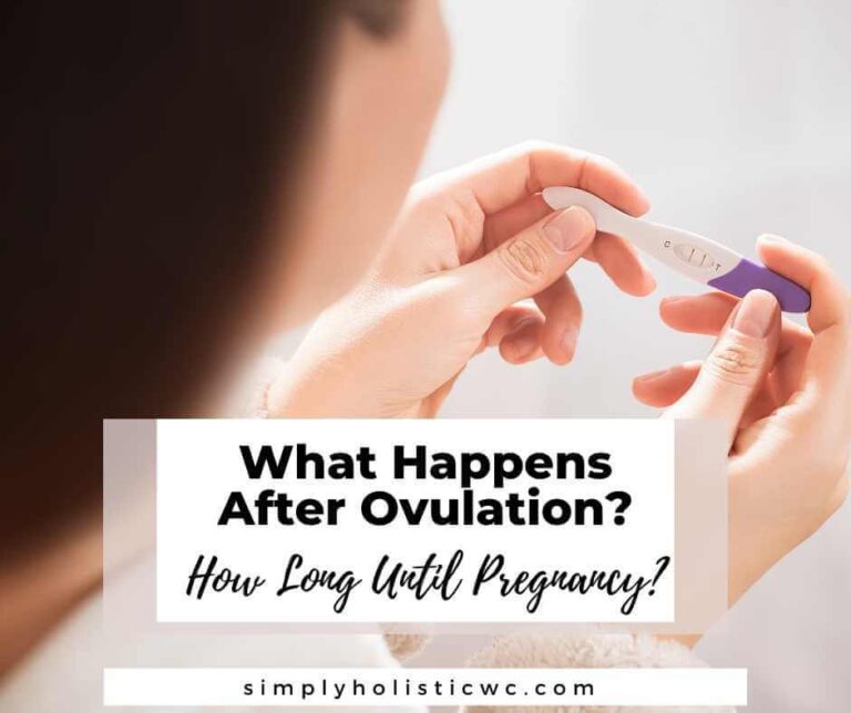 What Happens After Ovulation | How Long Until Pregnancy?