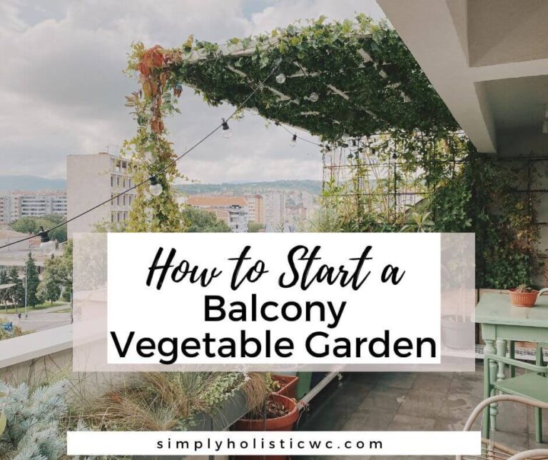 How to Start a Balcony Vegetable Garden