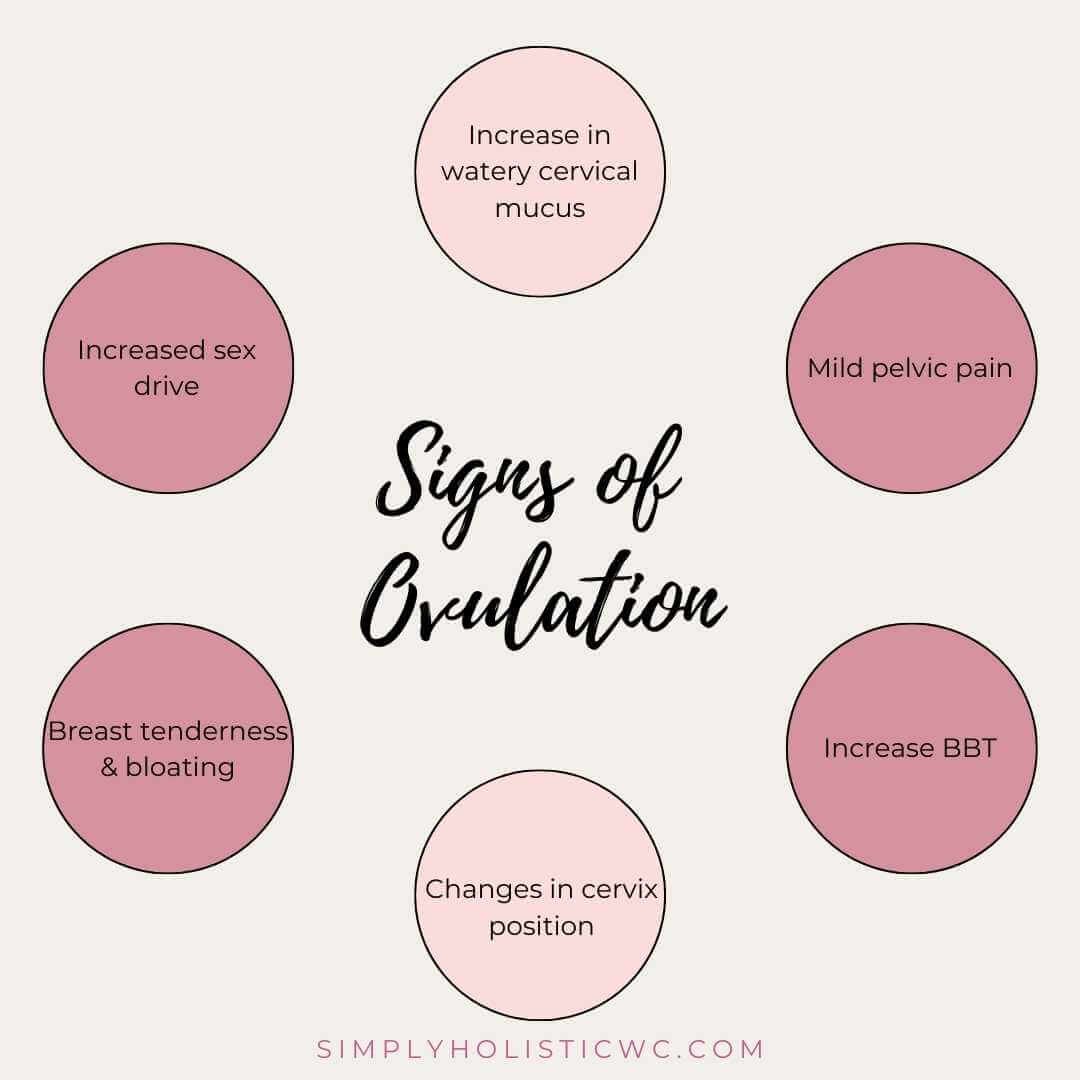 5 Ways to Track Ovulation when Trying to Get Pregnant